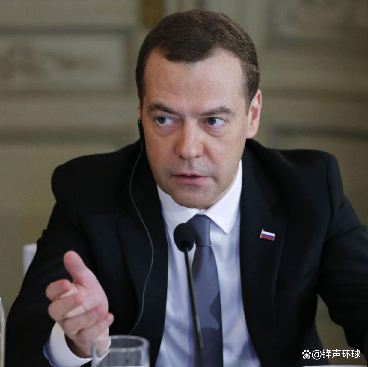  梅德韦杰夫集体辞职原因 